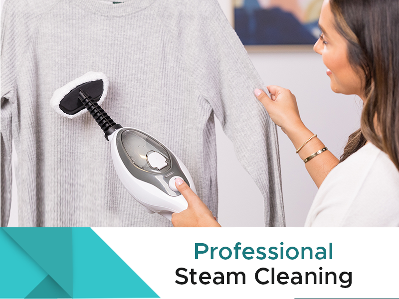 steambot large small vaccuum combo water pets vaccine carro bed conventional bath scrubber vaccum