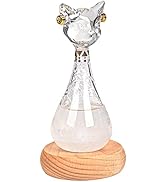 Weather Glass, Storm Glass Weather Forecaster, Cat Shape Bottle Liquid Barometer Weather Forecast...