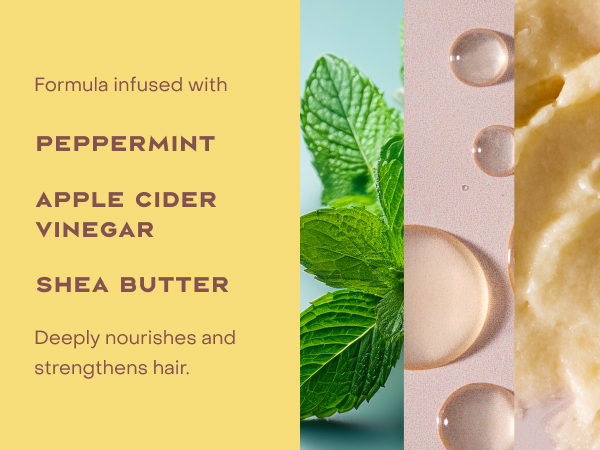 Image of formula infusion ingredients: peppermint, apple cider vinegar &amp; shea butter.