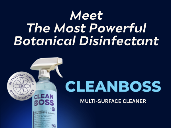 CleanBoss
