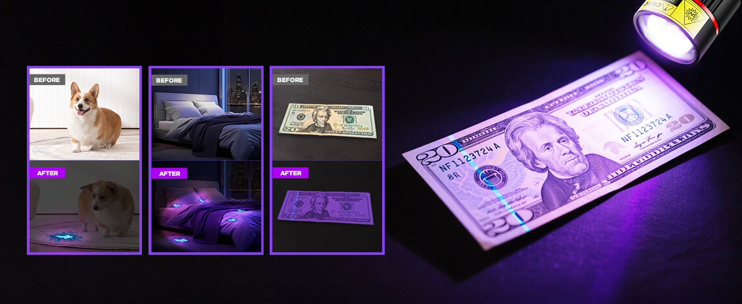 Under the irradiation of UV light, dog urine, stains and counterfeit money have nowhere to hide.