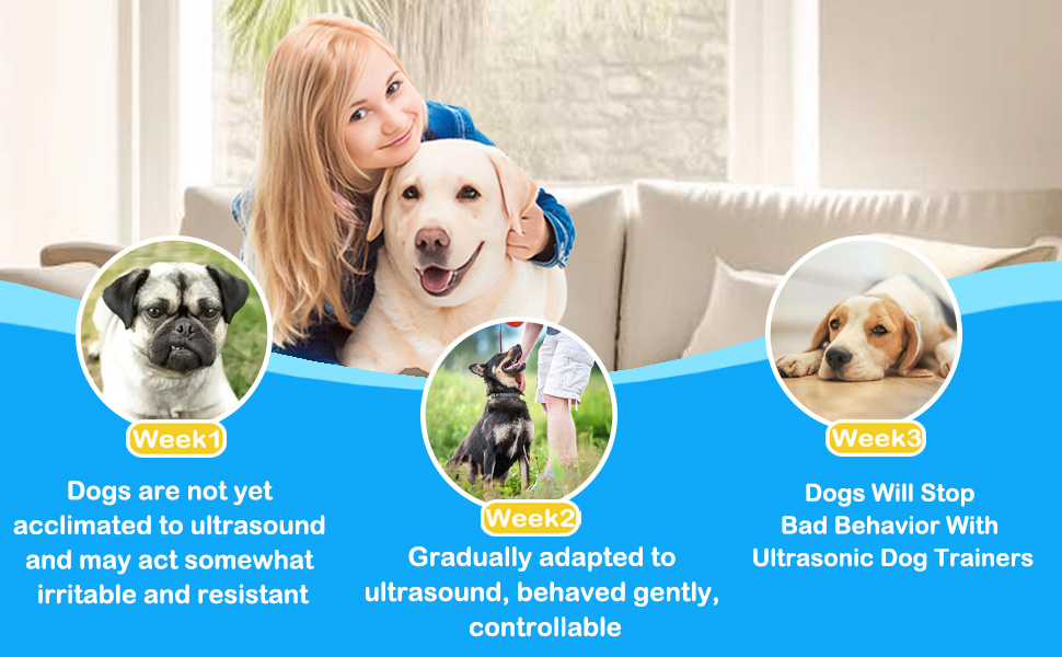 ultrasonic dog bark deterrent
