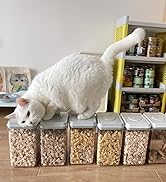 cereal containers storage