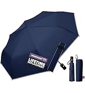 LILAC Compact Travel Windproof Umbrella, 43
