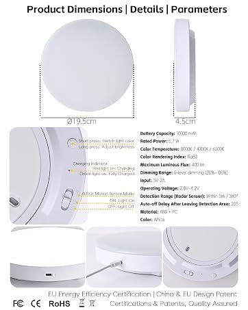 motion sensor ceiling light
