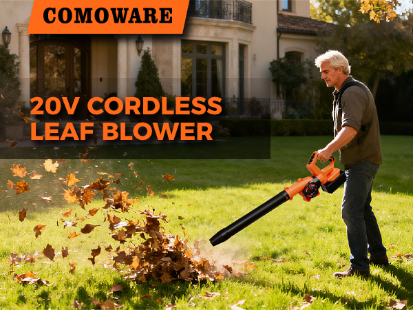 20V Leaf Blower