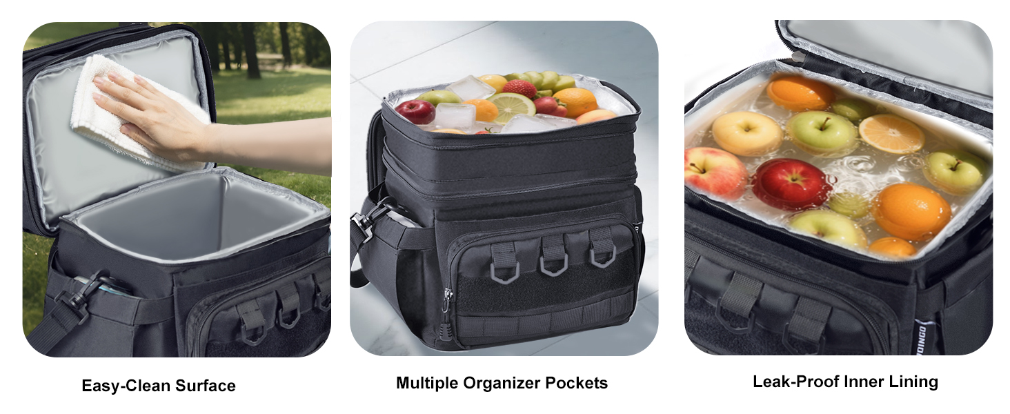 Insulated lunch box