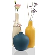 JINGIHECeramic Vase Set of 3, Small White Burnt Orange Blue Flower Vases, Modern Farmhouse Home D...