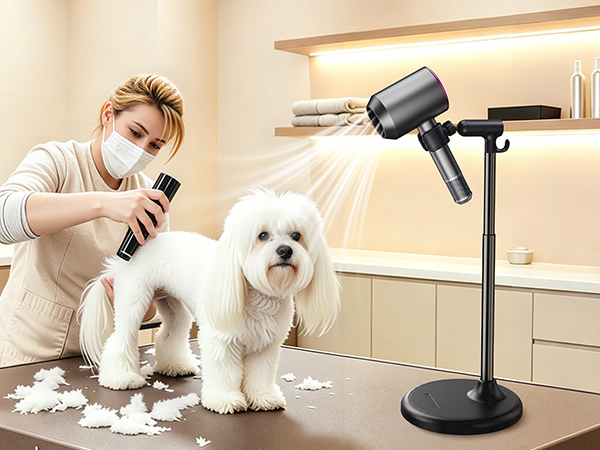 Hands Free Hair Dryer Holder