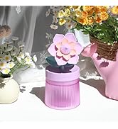 Gardenia Small Humidifier for Plant, Cool Mist Mini Humidifiers for Bedroom, Desk Personal Humidi...