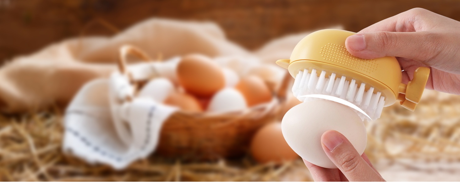 egg washer