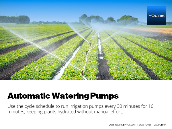 Automatic Watering Pumps