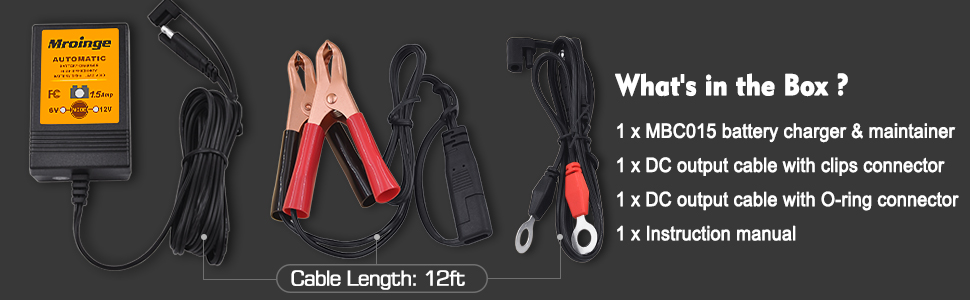 Automatic Trickle Charger