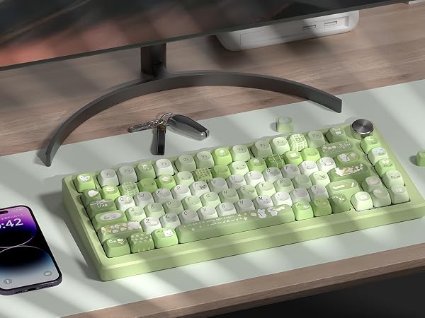 moa profile keycaps