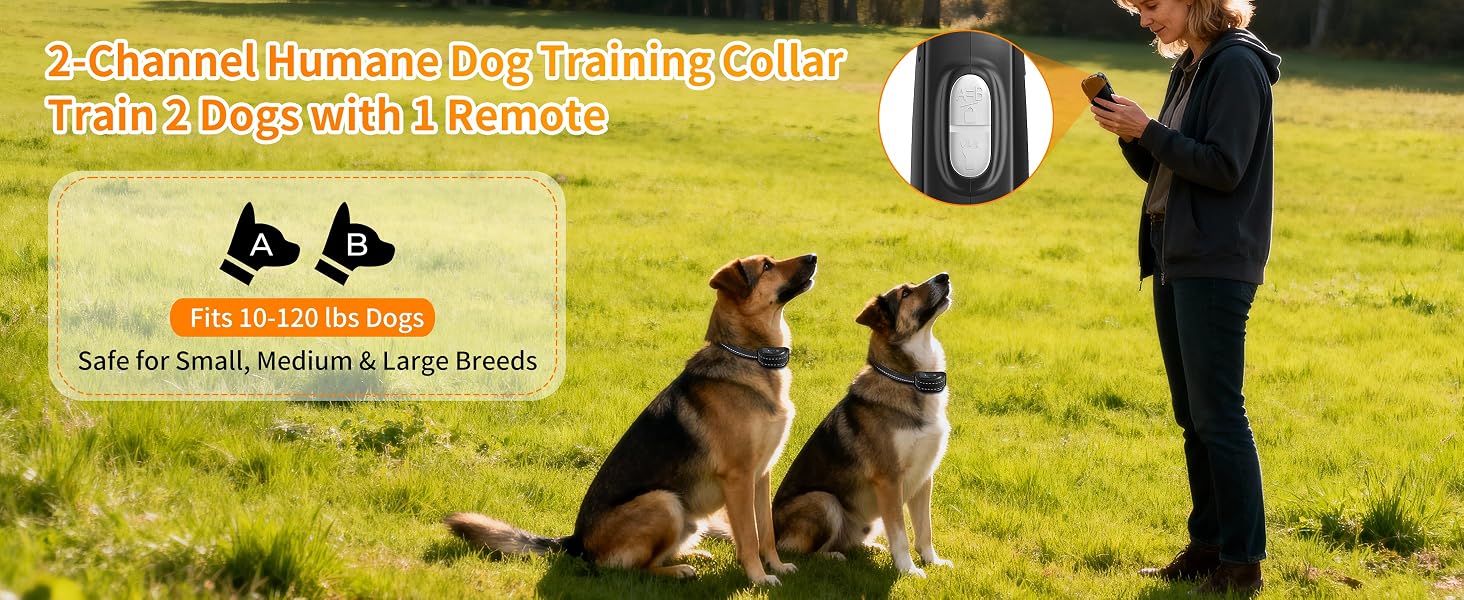 dog training collar 8