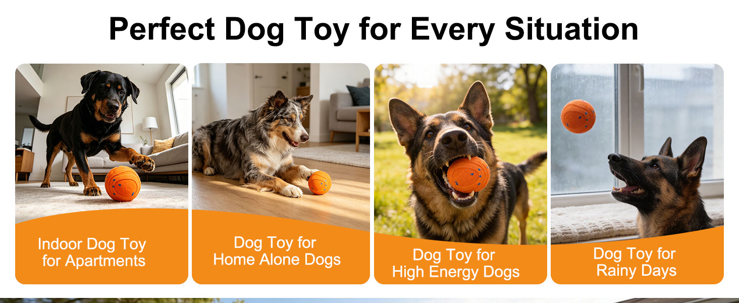 Perfect Dog ChewToy for Every Situation - Indoor/Outdoor/Active/Bored