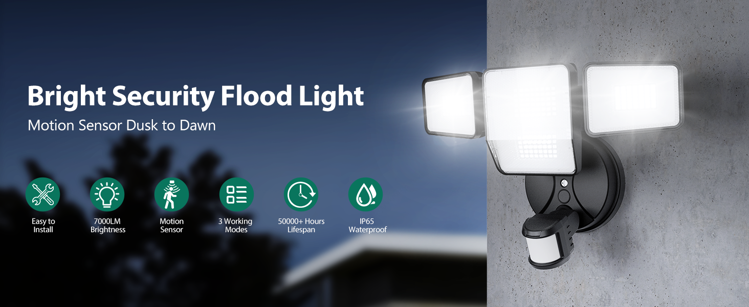 motion sensor lights