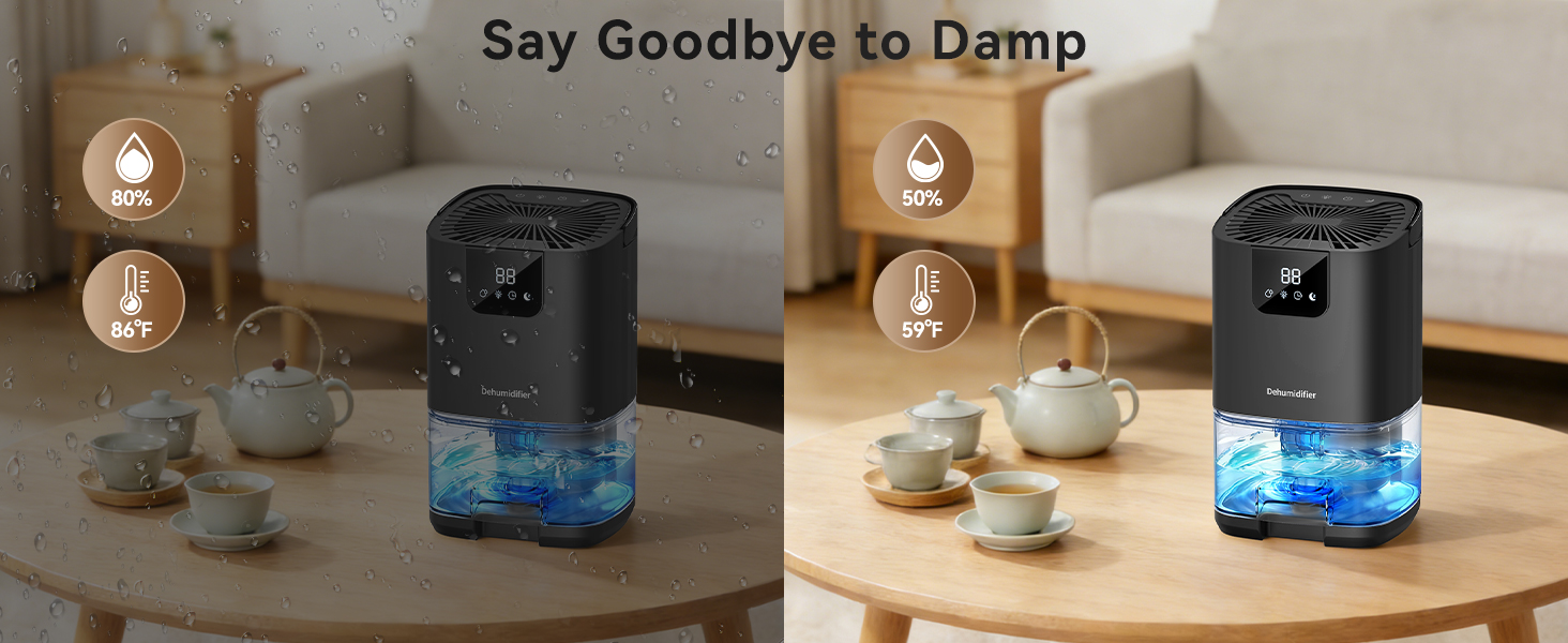 bathroom dehumidifier