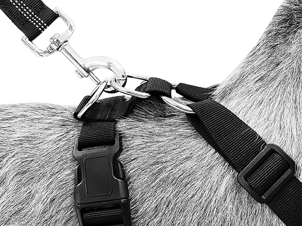 harness