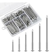 Wensilon Stainless Steel 304 Nails Kit,nail for hanging pictures 430pcs | Hanging Nails Kit, Wall...