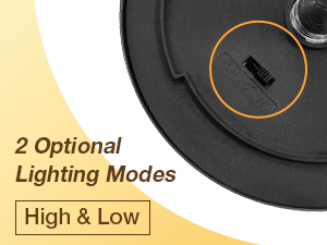 Adjustable Lighting Modes