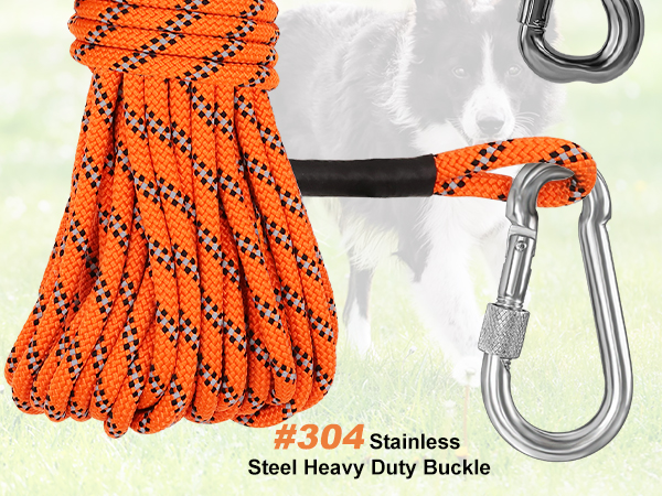 dog camping leash