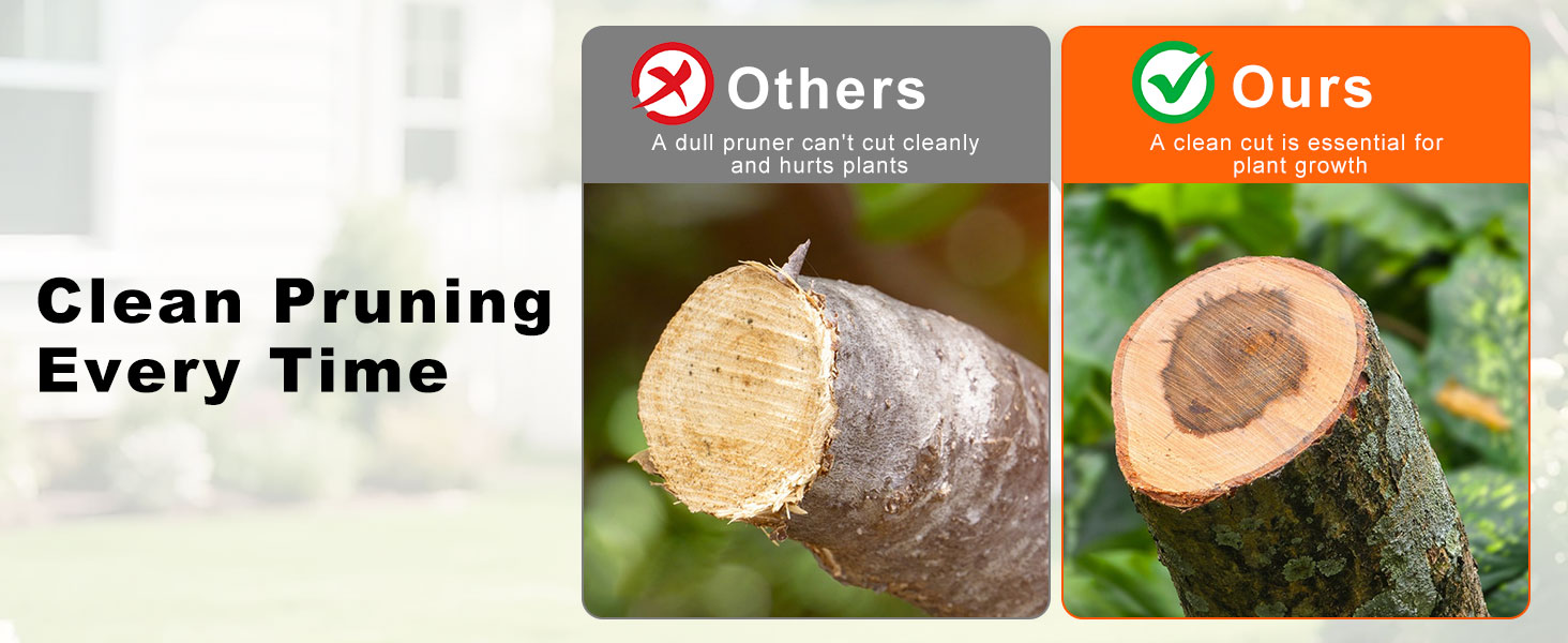 pruning shears