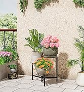 plant stand