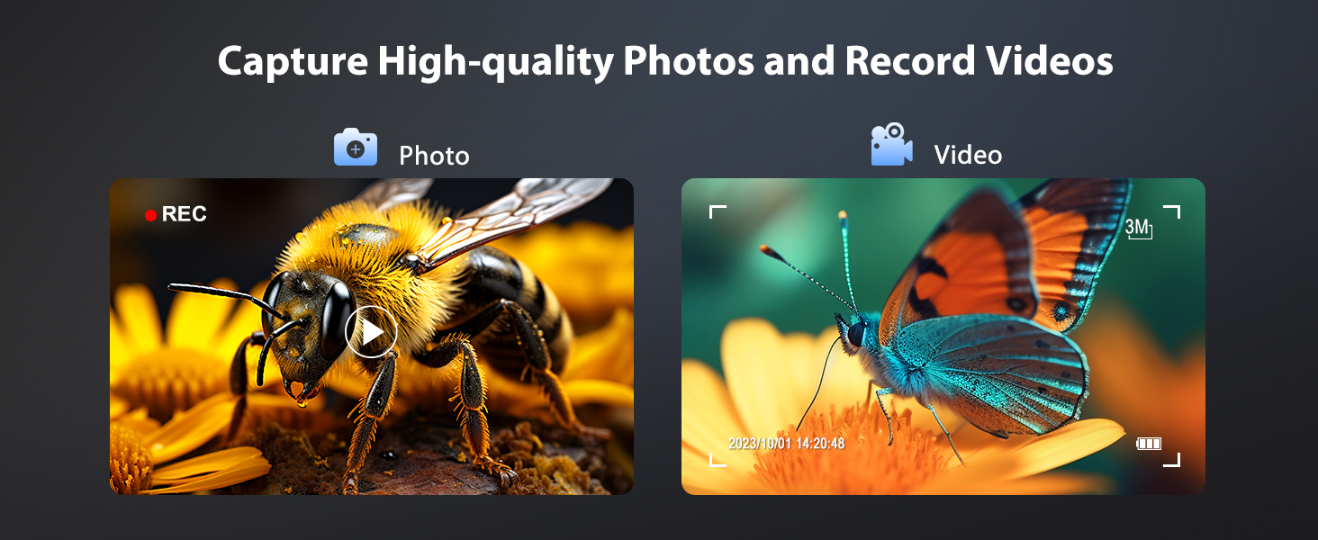 coin microscope with screen