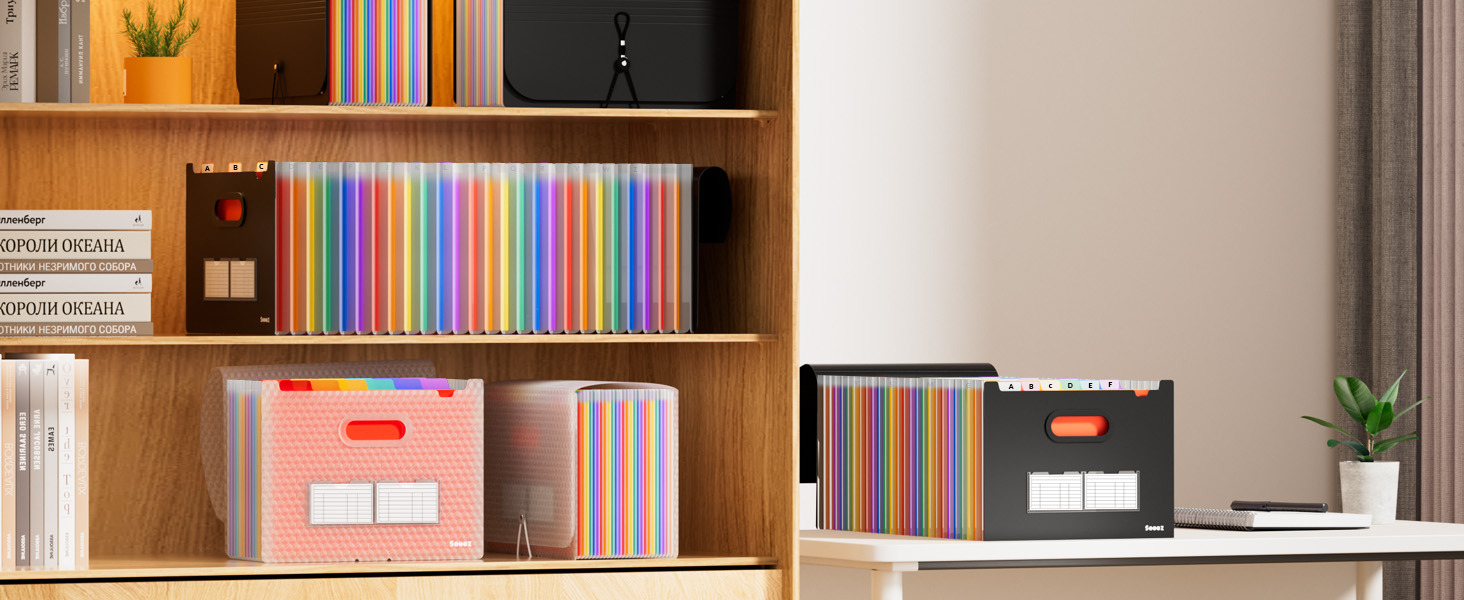 file organizer