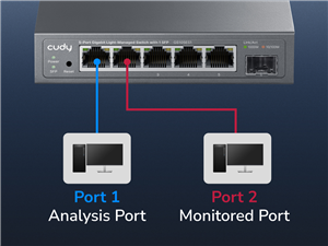 Port Mirroring