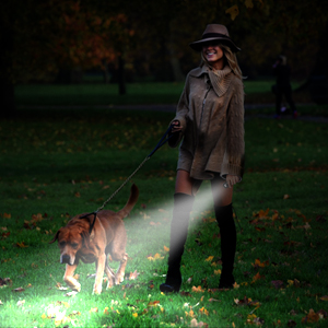 flashlights 