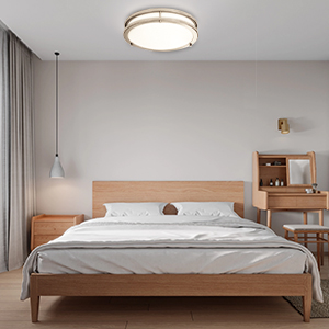 Ceiling Light Fixture