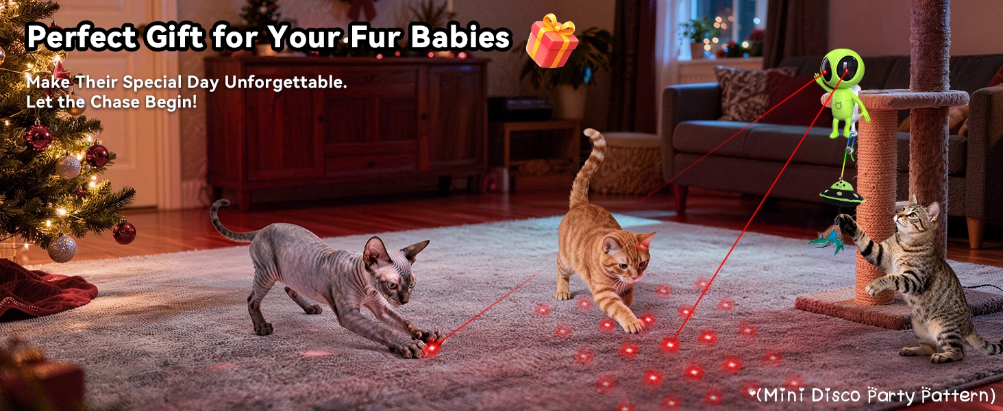 kitten toys