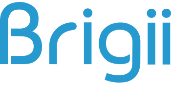 Brigii