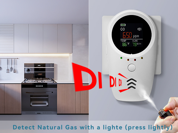 natural gas detectors