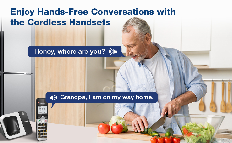 VG231, Handsfree Speakerphone