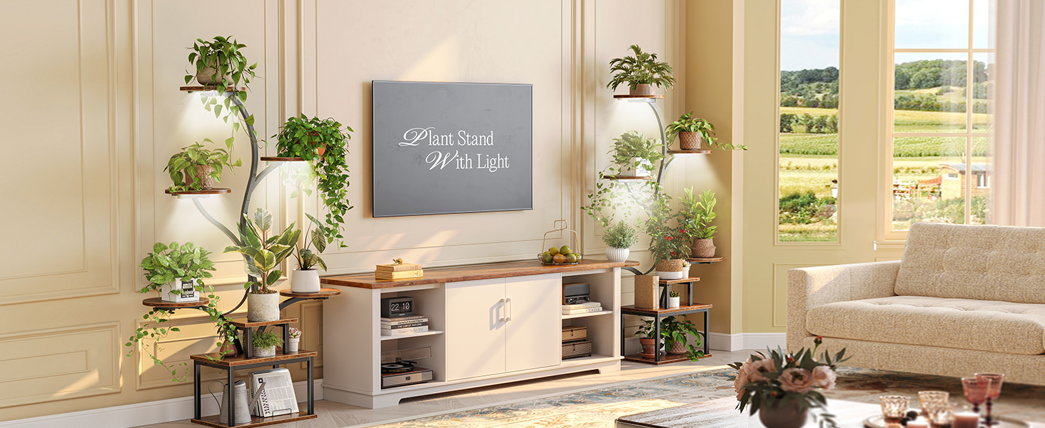 PLANT RACK