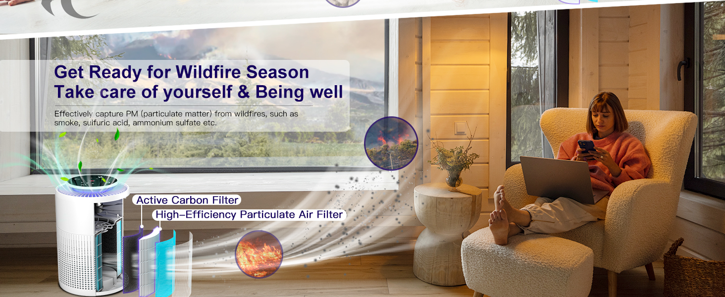 hepa air purifiers for home