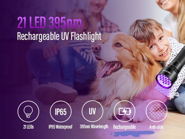 rechargeable uv flashlight