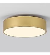 Yasince Modern Gold Flush Mount Ceiling Light, 2-light Simple Round Ceiling Lamp, Minimalist Circ...