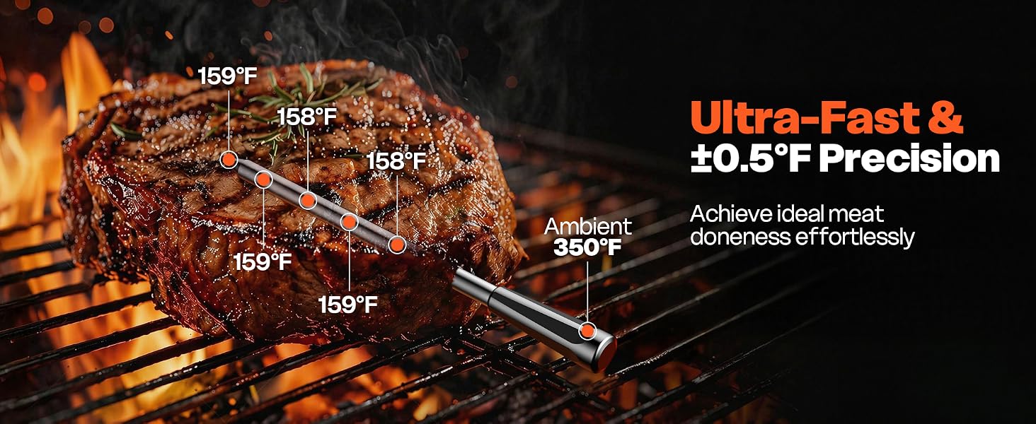 meat thermometer wireless
