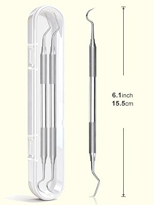dental scraping tool with case