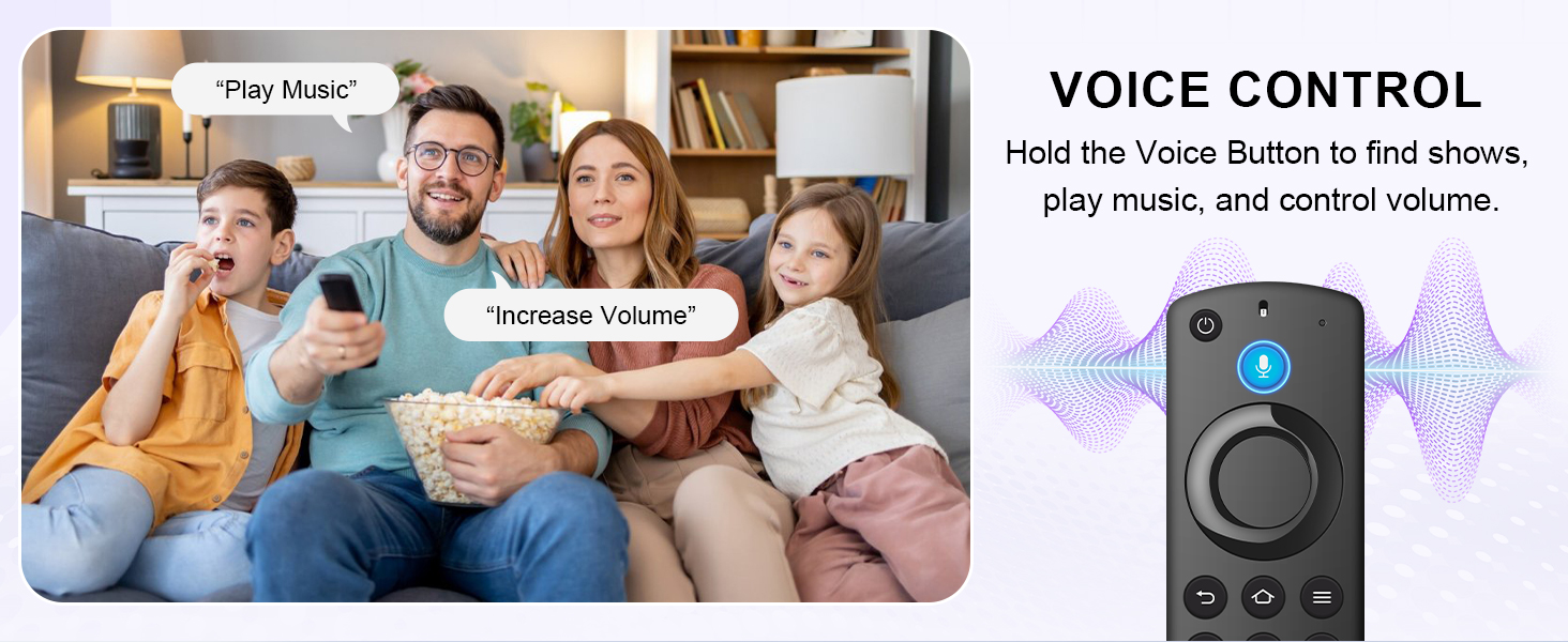 voice remote