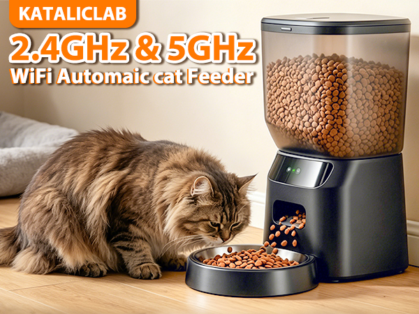 automatic cat feeder