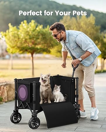 https://m.media-amazon.com/images/S/aplus-media-library-service-media/11ddd896-ef52-4419-8067-445b72183008.__CR1,0,1279,1600_PT0_SX362_V1___.jpg