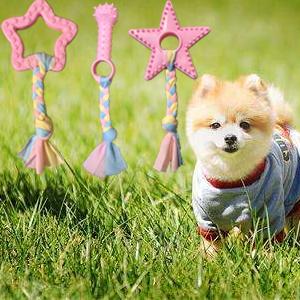 3 chew toys
