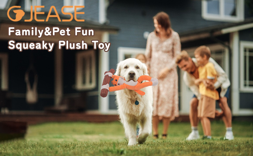 dog toy