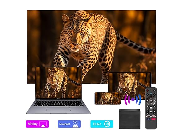 Mini Tv box for built in cast