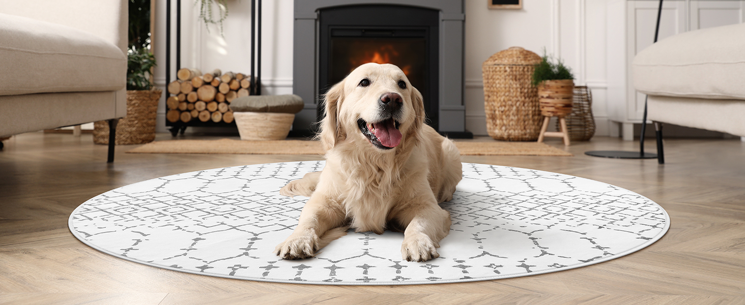 Round Rug